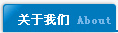 公司简介